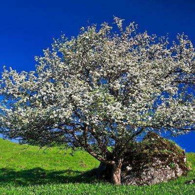 乐鱼官方app下载